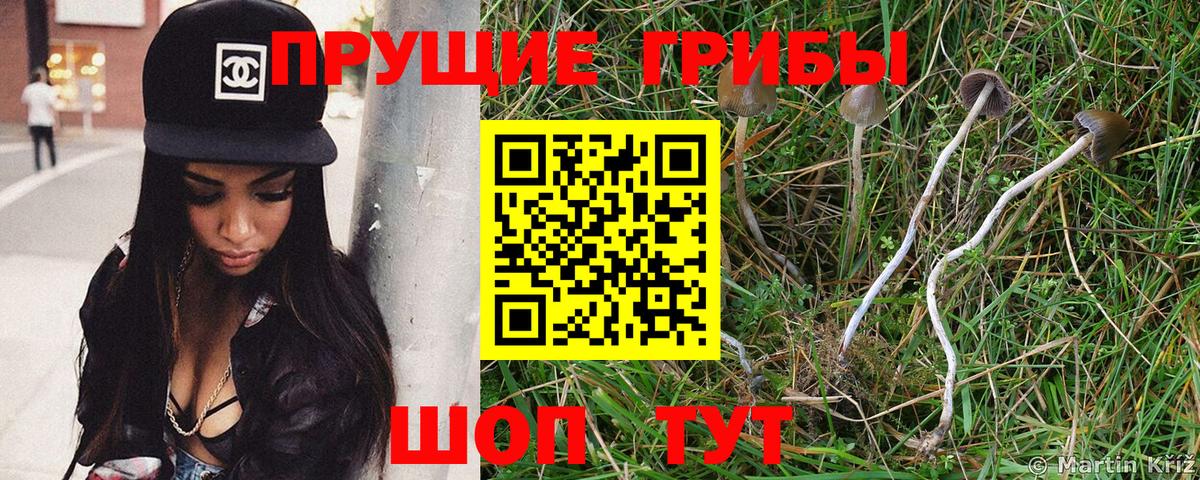 где продают   Галлюциногенные грибы ЛСД  Вход с VPN  Кореновск 